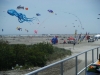 wildwood-NJ-kite-festival-2008-on-memorial-day