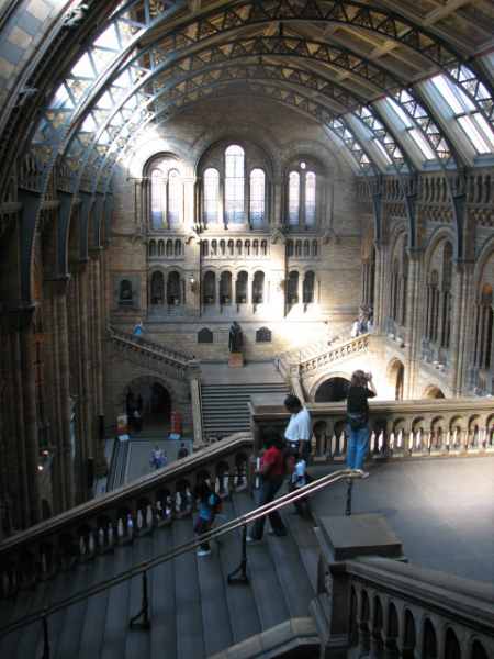 British-Natural-history-museum-London