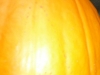 When the stickytaped design is removed, there should be a design marked on the pumpkin.