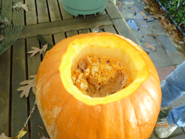 The inside of the pumpkin will need to be scooped out.