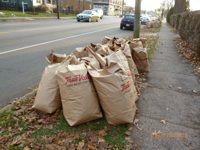 Bagged-up-leaves-from-New-Jersey-Fall