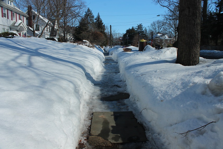 frozen-snow-covered-pathways-winter-nj