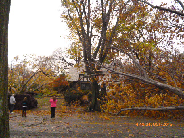 Superstorm-Sandy-damage-Glen-Ridge-NJ
